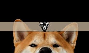 Based Shiba Inu Investment Guide: Risks, Rewards, and Market Outlook